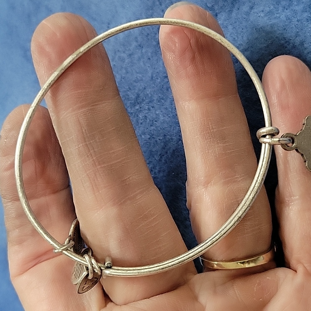 Alex and Ani - Mother's Day Idea - Lot of 2 Charm Bracelets - Picture 4 of 5